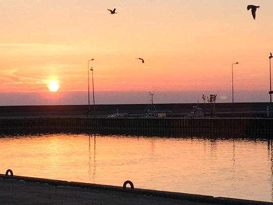 HavnePenge - Hafengebühren - Hafengebühren!